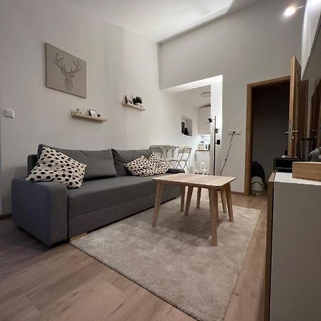 Apartman U Potoka Dolní Morava 外观 照片